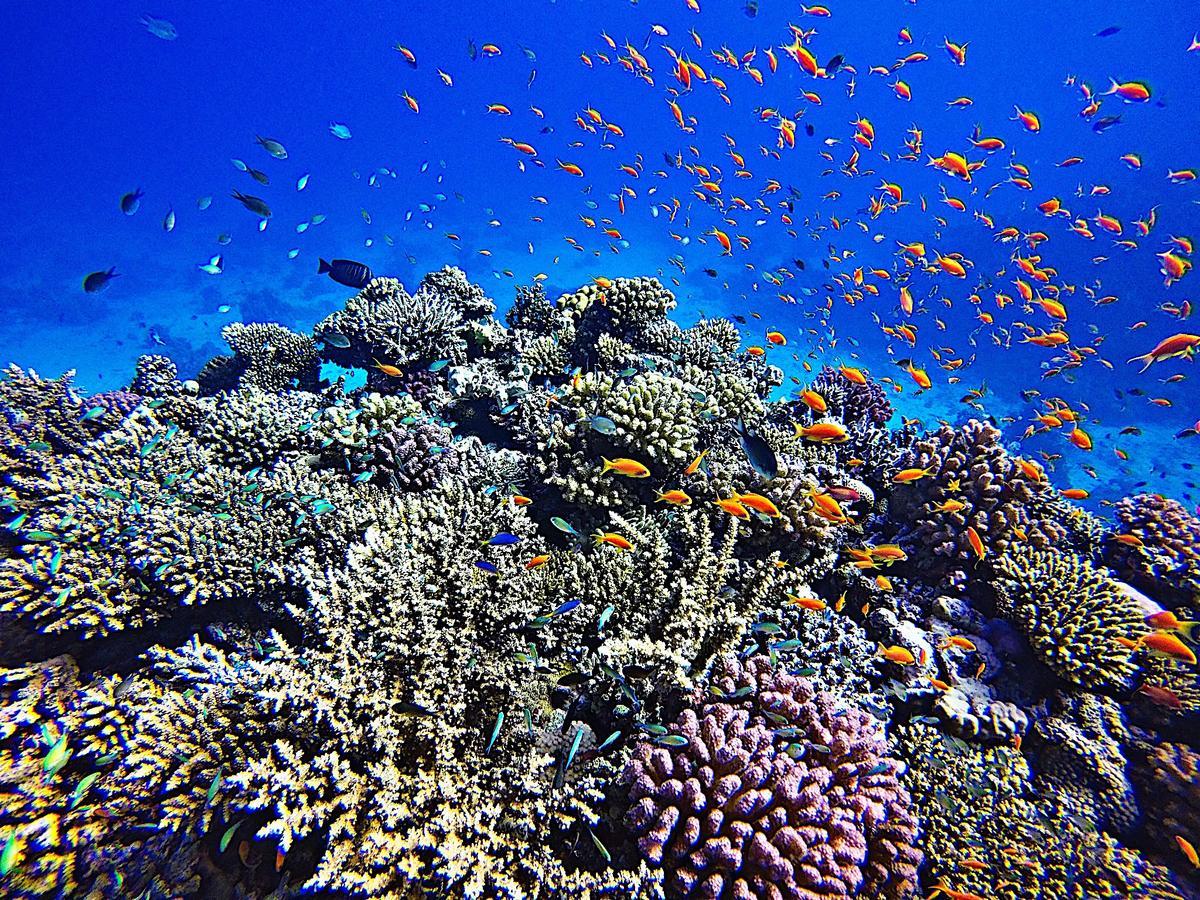 Meno Dream Resort Gili Meno Kültér fotó